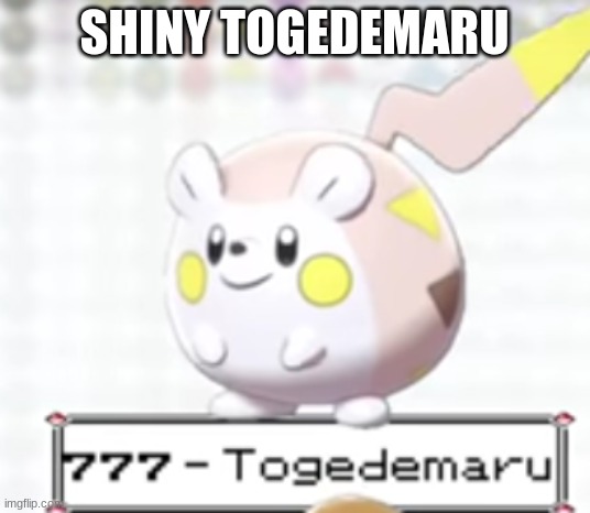 Shiny Togedemaru | SHINY TOGEDEMARU | image tagged in shiny togedemaru | made w/ Imgflip meme maker