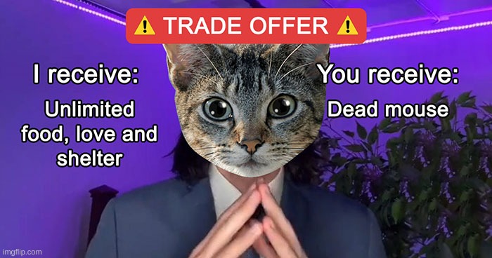 This is so true lol | image tagged in trade offer,meme,funny,cat trading | made w/ Imgflip meme maker