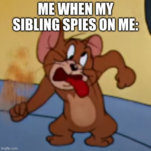 My Debut Meme | ME WHEN MY SIBLING SPIES ON ME: | image tagged in tomandjerry,cartoon,jerrymouse,tomcat | made w/ Imgflip meme maker