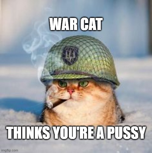 War cat  | WAR CAT; THINKS YOU'RE A PUSSY | image tagged in war cat | made w/ Imgflip meme maker