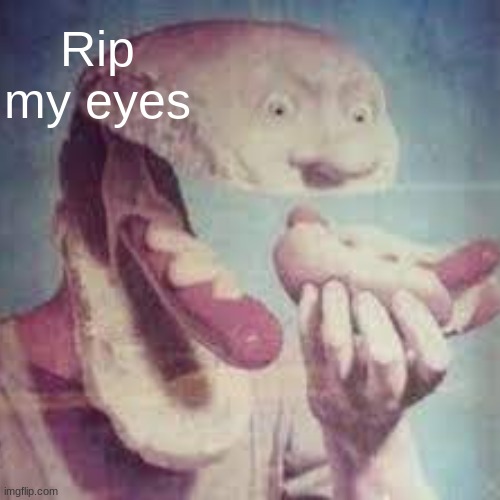 rip my eyes | Rip my eyes | image tagged in cursed image | made w/ Imgflip meme maker