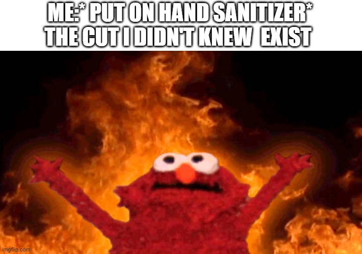 elmo fire | ME:* PUT ON HAND SANITIZER*
THE CUT I DIDN'T KNEW  EXIST | image tagged in elmo fire | made w/ Imgflip meme maker