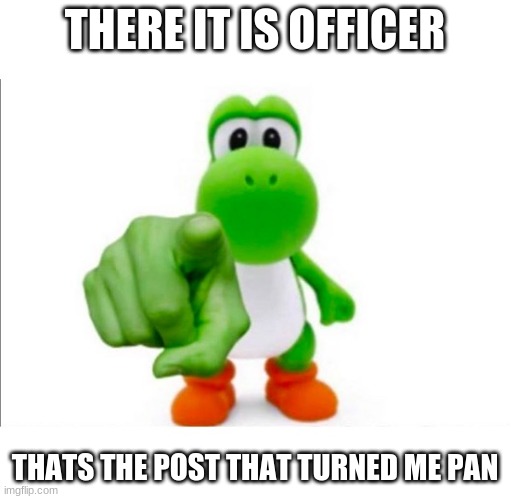 Pointing Yoshi | THERE IT IS OFFICER THATS THE POST THAT TURNED ME PAN | image tagged in pointing yoshi | made w/ Imgflip meme maker