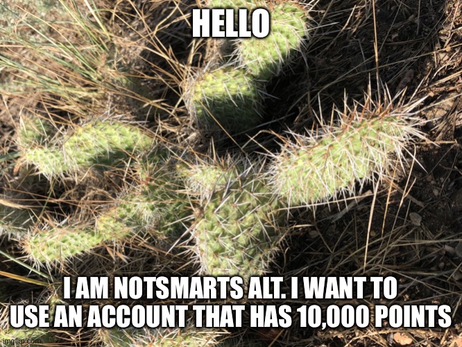 Cactus_official template | HELLO; I AM NOTSMARTS ALT. I WANT TO USE AN ACCOUNT THAT HAS 10,000 POINTS | image tagged in cactus_official template | made w/ Imgflip meme maker