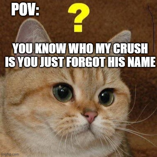  POV:; YOU KNOW WHO MY CRUSH IS YOU JUST FORGOT HIS NAME | image tagged in confused cat | made w/ Imgflip meme maker