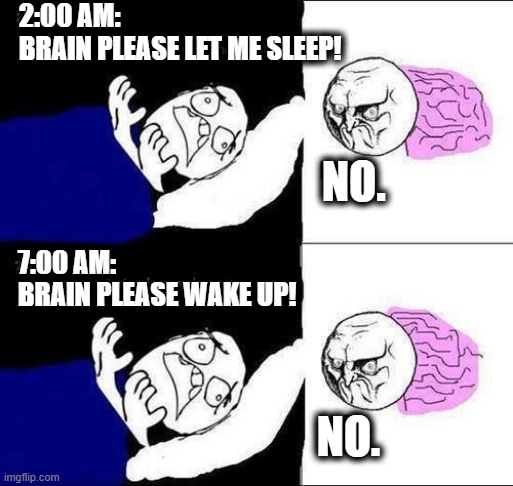 sleep FAIL | 2:00 AM: 
BRAIN PLEASE LET ME SLEEP! NO. 7:00 AM: 
BRAIN PLEASE WAKE UP! NO. | image tagged in brain please let me sleep | made w/ Imgflip meme maker