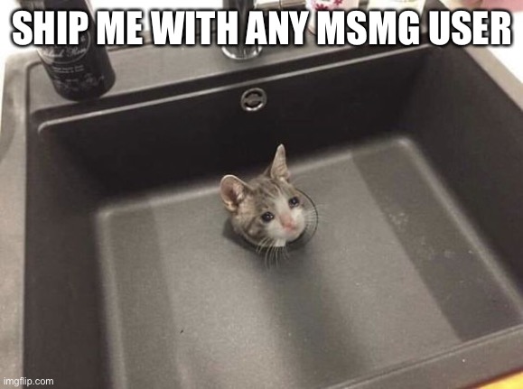 SHIP ME WITH ANY MSMG USER | made w/ Imgflip meme maker