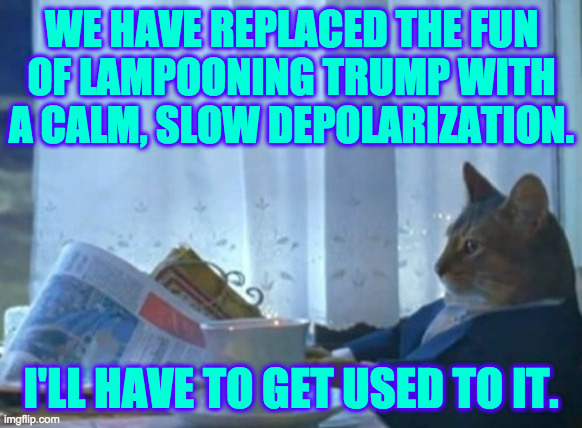 Try to be more like I Should Get a Grip Cat. | WE HAVE REPLACED THE FUN
OF LAMPOONING TRUMP WITH
A CALM, SLOW DEPOLARIZATION. I'LL HAVE TO GET USED TO IT. | image tagged in memes,i should buy a boat cat,get a grip,the biden years,depolarization | made w/ Imgflip meme maker