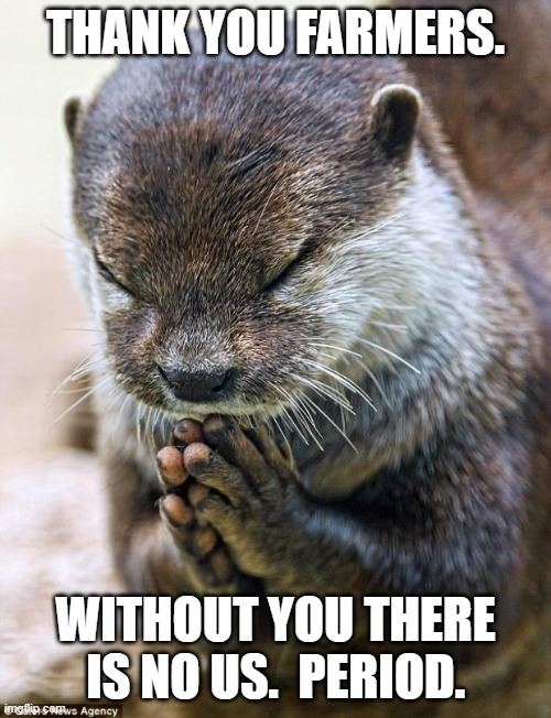 Thank you Lord Otter | THANK YOU FARMERS. WITHOUT YOU THERE IS NO US.  PERIOD. | image tagged in thank you lord otter | made w/ Imgflip meme maker