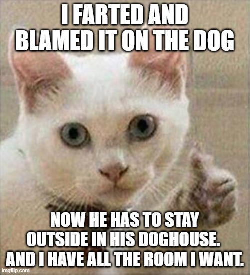 Motivation Cat | I FARTED AND BLAMED IT ON THE DOG; NOW HE HAS TO STAY OUTSIDE IN HIS DOGHOUSE.  AND I HAVE ALL THE ROOM I WANT. | image tagged in motivation cat | made w/ Imgflip meme maker