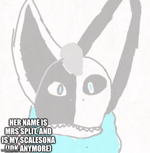 Is it a scalesona?! | HER NAME IS MRS SPLIT, AND IS MY SCALESONA (IDK ANYMORE) | image tagged in furry | made w/ Imgflip meme maker