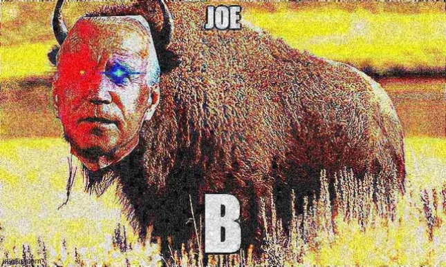 just gonna post this | image tagged in memes,joe biden,wtf | made w/ Imgflip meme maker