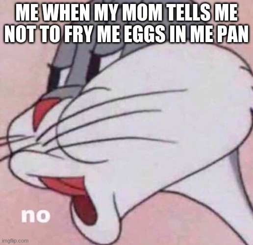 im a pansexual so dont tell me not to fry eggs in my fav pan!! | ME WHEN MY MOM TELLS ME NOT TO FRY ME EGGS IN ME PAN | image tagged in no,lgbtq | made w/ Imgflip meme maker