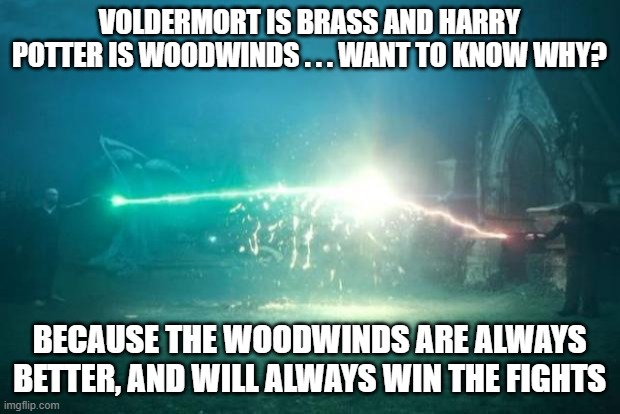 Harry Potter Voldemort Duel | VOLDERMORT IS BRASS AND HARRY POTTER IS WOODWINDS . . . WANT TO KNOW WHY? BECAUSE THE WOODWINDS ARE ALWAYS BETTER, AND WILL ALWAYS WIN THE FIGHTS | image tagged in harry potter voldemort duel | made w/ Imgflip meme maker