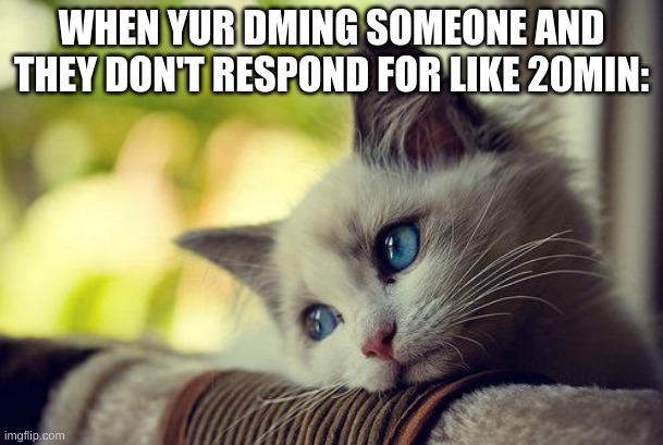 lmao NOT POINTING ANYONE OUT- | WHEN YUR DMING SOMEONE AND THEY DON'T RESPOND FOR LIKE 20MIN: | image tagged in memes,first world problems cat | made w/ Imgflip meme maker