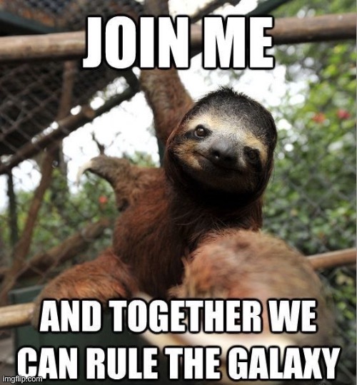 Sloth join me | image tagged in sloth join me | made w/ Imgflip meme maker