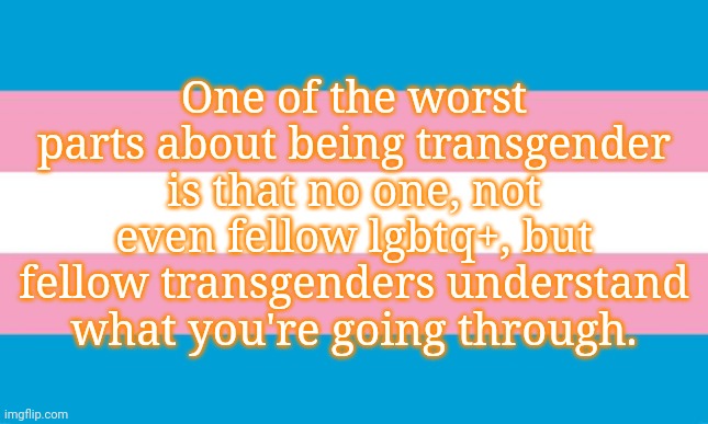 Transgender Flag | One of the worst parts about being transgender is that no one, not even fellow lgbtq+, but fellow transgenders understand what you're going through. | image tagged in transgender flag | made w/ Imgflip meme maker
