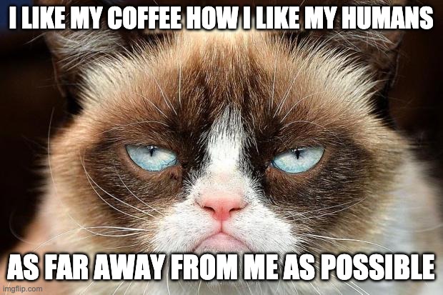 Grumpy Cat Not Amused | I LIKE MY COFFEE HOW I LIKE MY HUMANS; AS FAR AWAY FROM ME AS POSSIBLE | image tagged in memes,grumpy cat not amused,grumpy cat | made w/ Imgflip meme maker