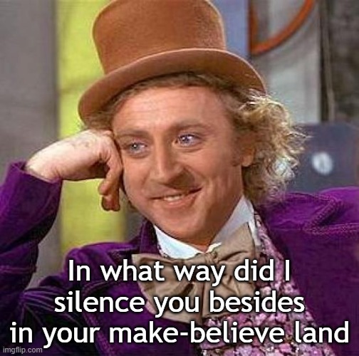 Creepy Condescending Wonka Meme | In what way did I silence you besides in your make-believe land | image tagged in memes,creepy condescending wonka | made w/ Imgflip meme maker