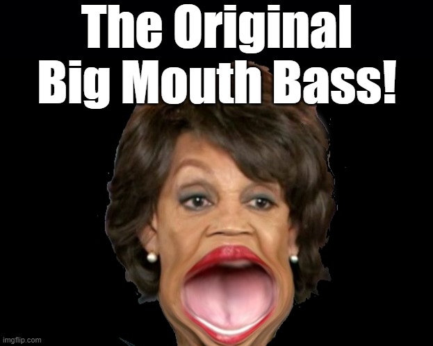 Pull Her Chain And Hear Her Rant, She's The Original Big Mouth Bass! | The Original Big Mouth Bass! | image tagged in maxine waters,big mouth,if someone would,just treat her,like she treats other,she might shut up | made w/ Imgflip meme maker