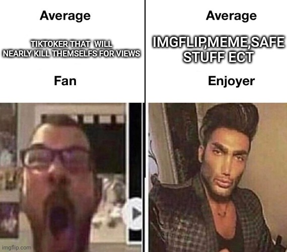 This is a repost of one of my memes inside someone's comment section. |  IMGFLIP,MEME,SAFE STUFF ECT; TIKTOKER THAT  WILL NEARLY KILL THEMSELFS FOR VIEWS | image tagged in average fan vs average enjoyer | made w/ Imgflip meme maker