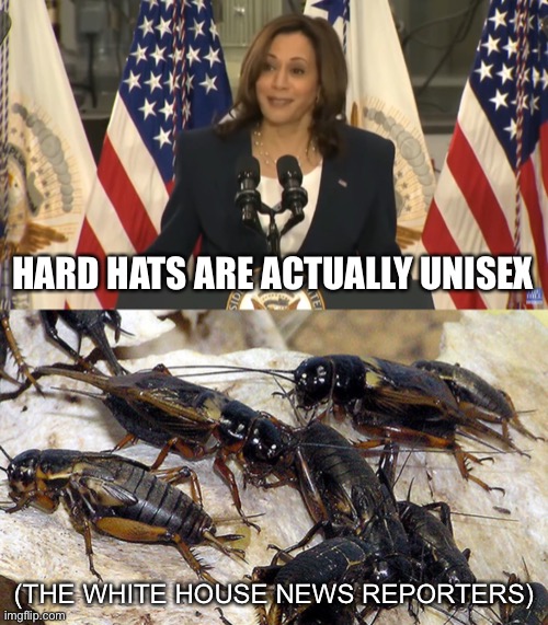 Ba Dumb Tssss | HARD HATS ARE ACTUALLY UNISEX; (THE WHITE HOUSE NEWS REPORTERS) | image tagged in kamala harris,crickets | made w/ Imgflip meme maker