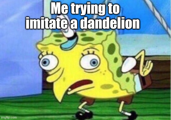 0-0 | Me trying to imitate a dandelion | image tagged in memes,mocking spongebob | made w/ Imgflip meme maker