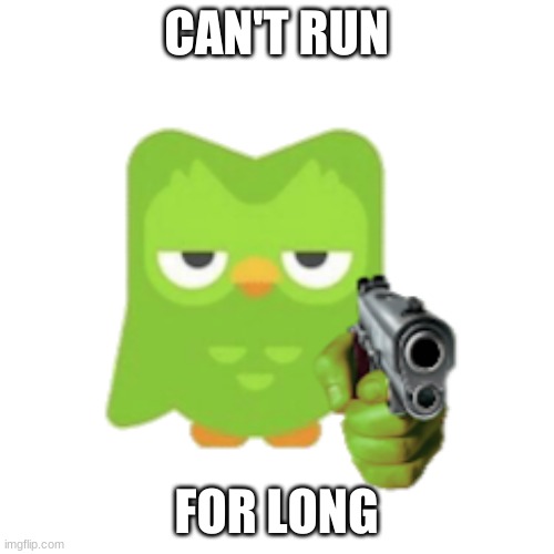 Duolingo | CAN'T RUN FOR LONG | image tagged in duolingo | made w/ Imgflip meme maker