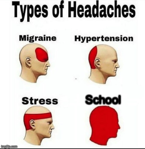 Types of Headaches meme | School | image tagged in types of headaches meme | made w/ Imgflip meme maker