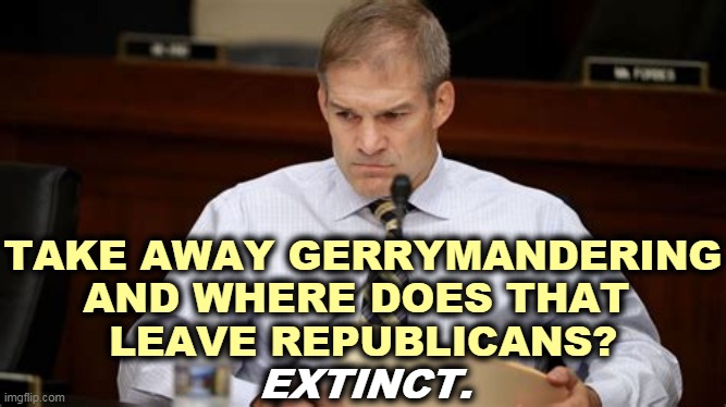 Republicans - a one way ticket to Palookaville | TAKE AWAY GERRYMANDERING AND WHERE DOES THAT 
LEAVE REPUBLICANS? EXTINCT. | image tagged in jim jordan - stupidity thwarted by facts,republicans,too many,too,stupid | made w/ Imgflip meme maker
