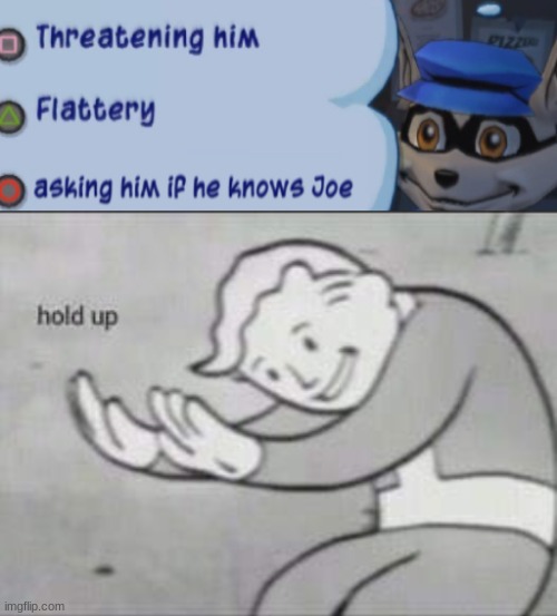 I know who he is. IT's JOE MAMA | image tagged in fallout hold up,sly cooper | made w/ Imgflip meme maker
