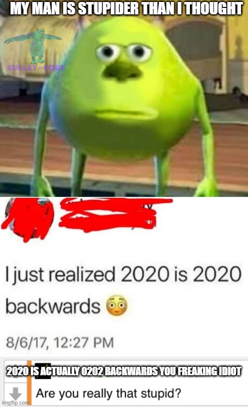 This guy never went to school | MY MAN IS STUPIDER THAN I THOUGHT; 2020 IS ACTUALLY 0202 BACKWARDS YOU FREAKING IDIOT | image tagged in monsters inc,are you really that stupid,dumb people | made w/ Imgflip meme maker