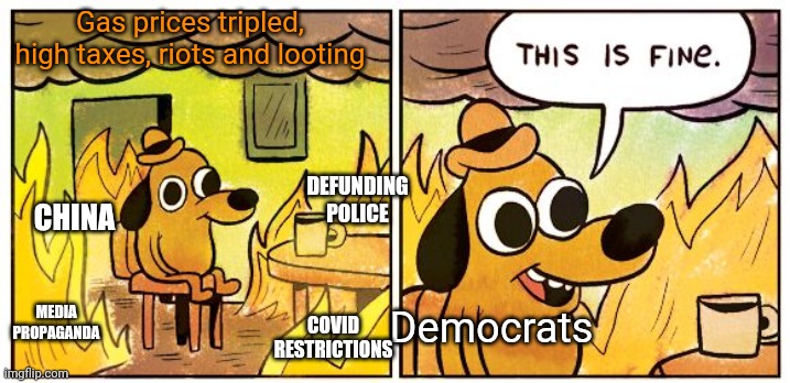 This Is Fine | Gas prices tripled, high taxes, riots and looting; DEFUNDING POLICE; CHINA; MEDIA PROPAGANDA; COVID RESTRICTIONS; Democrats | image tagged in memes,this is fine | made w/ Imgflip meme maker