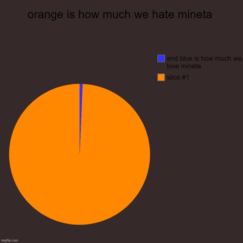 orange is how much we hate mineta |, and blue is how much we love mineta | image tagged in charts,pie charts | made w/ Imgflip chart maker
