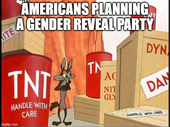 Its a booom! | AMERICANS PLANNING A GENDER REVEAL PARTY | image tagged in gender reveal | made w/ Imgflip meme maker
