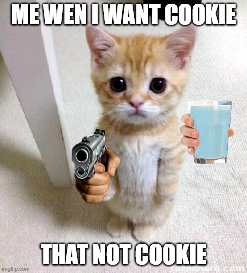 Cute Cat | ME WEN I WANT COOKIE; THAT NOT COOKIE | image tagged in memes,cute cat | made w/ Imgflip meme maker