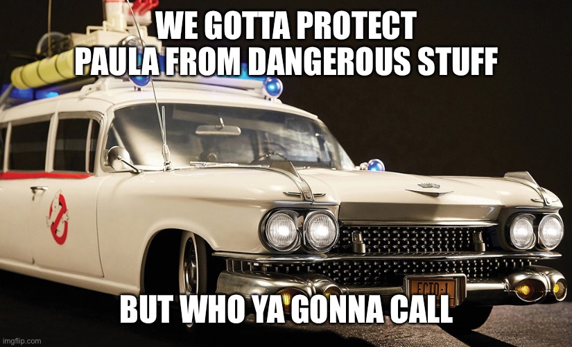 Ecto | WE GOTTA PROTECT PAULA FROM DANGEROUS STUFF; BUT WHO YA GONNA CALL | image tagged in ecto | made w/ Imgflip meme maker