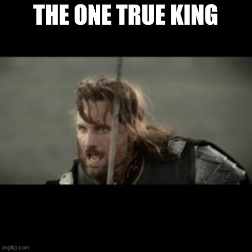 Aragorn | THE ONE TRUE KING | image tagged in aragorn | made w/ Imgflip meme maker