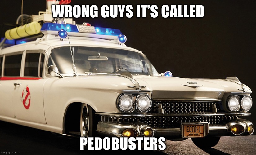 Ecto | WRONG GUYS IT’S CALLED; PEDOBUSTERS | image tagged in ecto | made w/ Imgflip meme maker