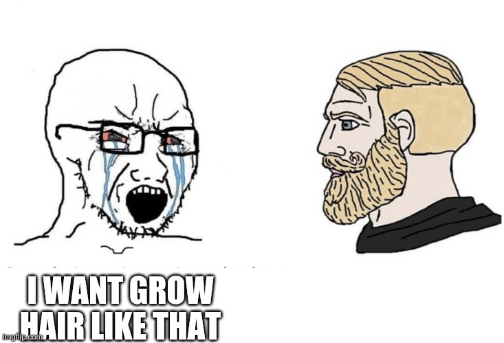 Soyboy Vs Yes Chad | I WANT GROW HAIR LIKE THAT | image tagged in soyboy vs yes chad | made w/ Imgflip meme maker