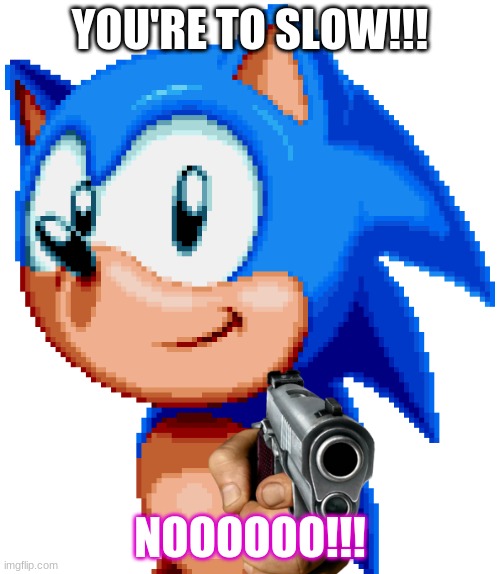 sonic with a gun | YOU'RE TO SLOW!!! NOOOOOO!!! | image tagged in sonic with a gun | made w/ Imgflip meme maker