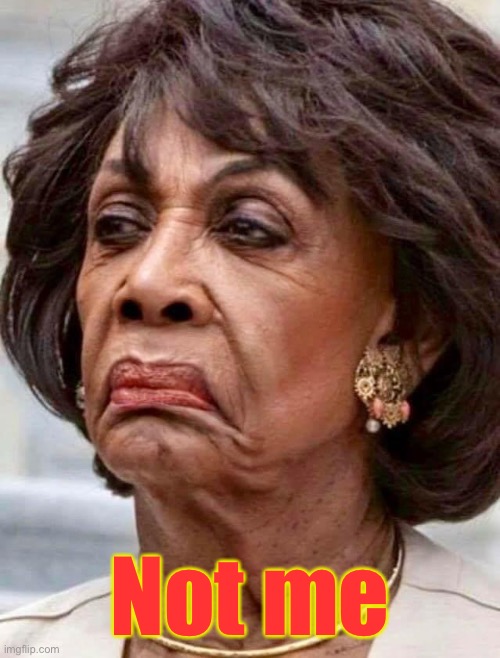 Maxine Waters | Not me | image tagged in maxine waters | made w/ Imgflip meme maker