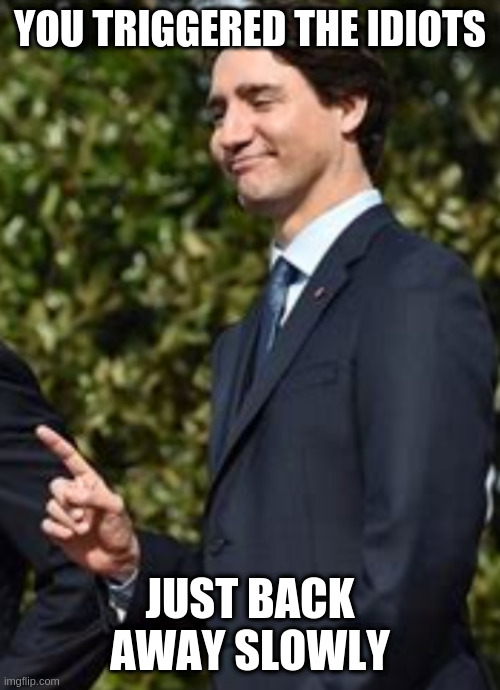 Arguments in Politics stream go south quick | YOU TRIGGERED THE IDIOTS; JUST BACK AWAY SLOWLY | image tagged in one thing,canada,usa,partners,mexico,world | made w/ Imgflip meme maker