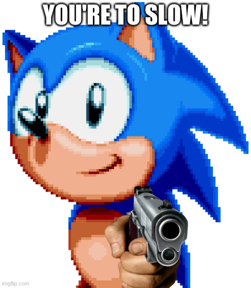 sonic with a gun | YOU'RE TO SLOW! | image tagged in sonic with a gun | made w/ Imgflip meme maker