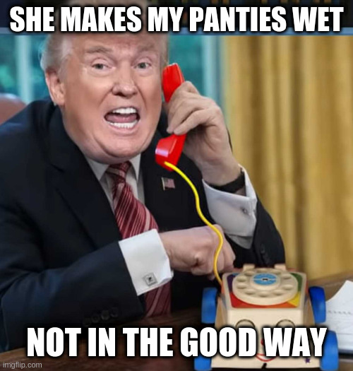 Greta scares him, makes him go wee wee | SHE MAKES MY PANTIES WET NOT IN THE GOOD WAY | image tagged in i'm the president | made w/ Imgflip meme maker