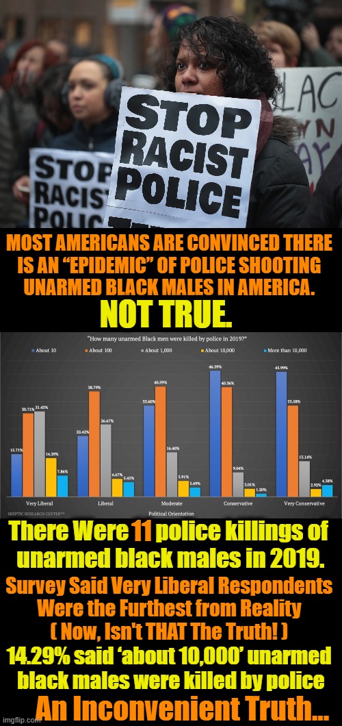 Just Another Inconvenient Truth | MOST AMERICANS ARE CONVINCED THERE 

IS AN “EPIDEMIC” OF POLICE SHOOTING 
UNARMED BLACK MALES IN AMERICA. NOT TRUE. 11; There Were      police killings of 
unarmed black males in 2019. Survey Said Very Liberal Respondents 
Were the Furthest from Reality 
( Now, Isn't THAT The Truth! ); 14.29% said ‘about 10,000’ unarmed 
black males were killed by police; An Inconvenient Truth... | image tagged in politics,democrats,police,liberals | made w/ Imgflip meme maker