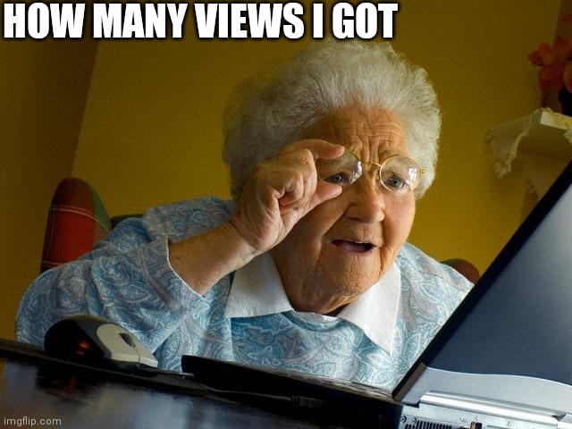 Grandma Finds The Internet Meme | HOW MANY VIEWS I GOT | image tagged in memes,grandma finds the internet | made w/ Imgflip meme maker