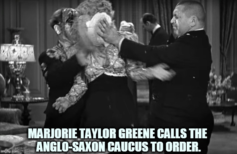 Stereo! | MARJORIE TAYLOR GREENE CALLS THE 
ANGLO-SAXON CAUCUS TO ORDER. | image tagged in republicans,neo-nazis,punishment | made w/ Imgflip meme maker