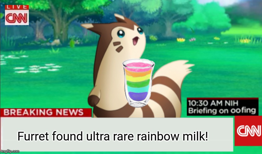 Furret used 'drink!' It was very effective! | Furret found ultra rare rainbow milk! | image tagged in breaking news furret,rainbow,milk,furret,gotta drink it all,pokemon | made w/ Imgflip meme maker