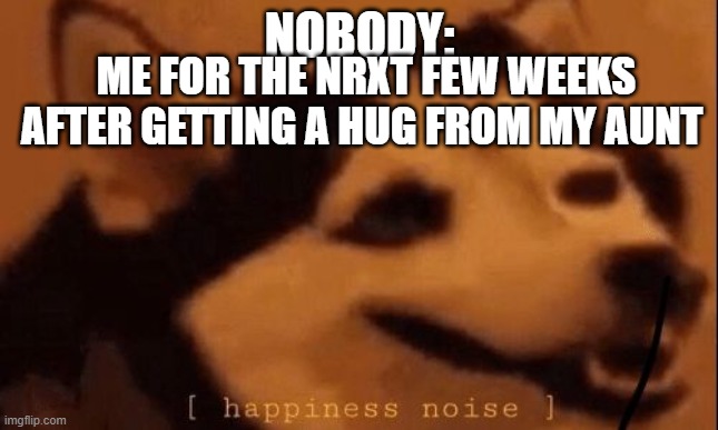[happiness noise] | NOBODY:; ME FOR THE NRXT FEW WEEKS AFTER GETTING A HUG FROM MY AUNT | image tagged in happiness noise,aunt,hugs,happy | made w/ Imgflip meme maker